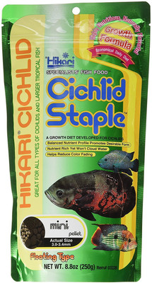 

Hikari Cichlid Staple Mini Pellet 250g | Floating Type Fish Treat(250 g)