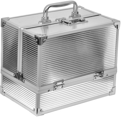 

Stockhawkers Multi Purpose Cosmetics Makeup Box, Storage Box Vanity Box(Silver)