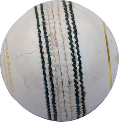 

VibeX ™ Cricket Ball Sting Alum Tanned Leather - Official Size & Weight Pacer™ Hand- Seamed Cricket Leather Ball(Pack of 1, White)