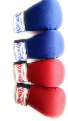 

XtreameX xx003l Martial Art Gloves (, Blue, Red;blue