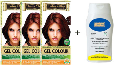 

Indus Valley Organically Natural Gel Burgundy 3.6 Hair Color- Triple Pack with CP Shampoo Combo Kit(Set of 4)