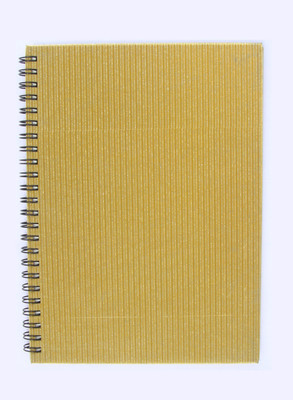 

Write oN A5 Note Book(Sprial notebooks, Gold)