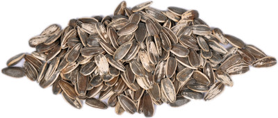 

Pet Care imported large size sunflower seeds Nuts 500 g Dry Bird Food