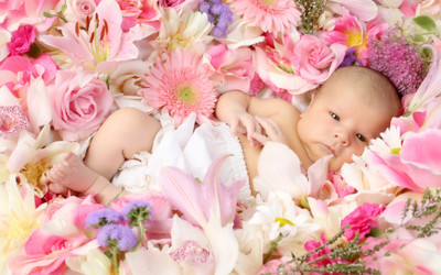 

Akhuratha Cute Baby Wall Poster 34 Paper Print(12 inch X 18 inch, Rolled)