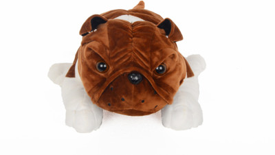 

BOOBOO PITBULL - 28 cm(Brown, White)