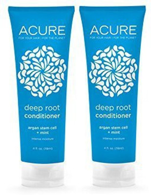 Acure Organics Deep Root Conditioner With Argan Stem Cell And Mint Intense Moisture With Aloe Vera Acai Blackberry Rosehips Rooibos(118.29 ml)