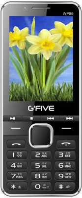 

Gfive WP86(Champagne)