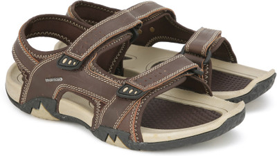 

Provogue Men Brown Casual