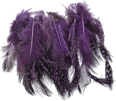 

GOELX Designer Craft feathers for dream catcher/ jewelry making/ art & crafts