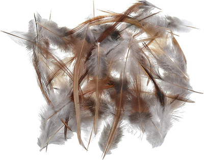 

GOELX Designer Craft feathers for dream catcher/ jewelry making/ art & crafts