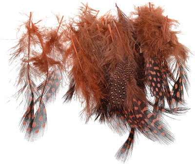 

GOELX Designer Craft feathers for dream catcher/ jewelry making/ art & crafts