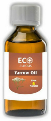 

ECO_AUROUS Yarrow Oil | 100% Natural Essential Oil | Pure Yarrow Oil | Natural Yarrow Oil | Yarrow Essential Oil | Organic Yarrow Oil By Eco Aurous 15ml(15 ml)