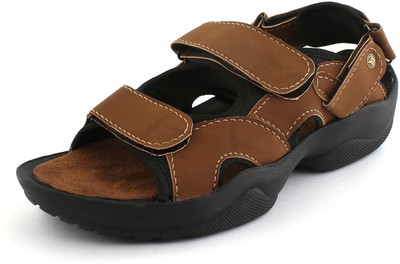 

D'zigners Men Olive Casual