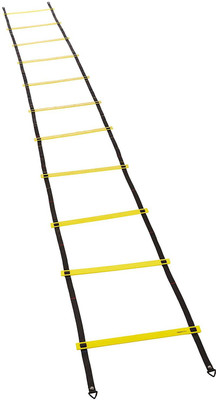 

QUINERGYS ility Ladder and Cones - 15 ft Fixed-Rung Speed Ladder Speed Ladder(Multicolor)