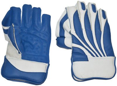 

SN Glove 01 YOUTH Wicket Keeping Gloves (Youth, Blue), Blue 02
