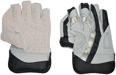 

SN Glove 02 YOUTH Wicket Keeping Gloves (Youth, White, Black), White 02