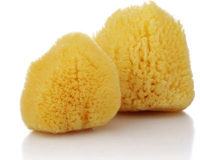 

Rivapax Sea Sponge Natural Tampons 2-in-1 Pack (Reusable) Tampons(Pack of 2)