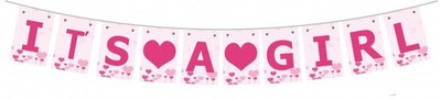 

Theme My Party Banner For Baby Welcome (It's A Girl) Banner(10 ft, Pack of 1)