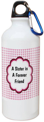 

SKY TRENDS Printed Shipper Bottle for Brother||Sister for Rakshabandhan, Anniversary, Birthday 600 ml Sipper(Pack of 1, Multicolor)