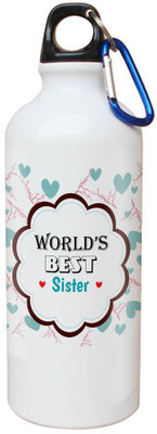 

SKY TRENDS Printed Shipper Bottle for Brother||Sister for Rakshabandhan, Anniversary, Birthday 600 ml Sipper(Pack of 1, Multicolor)