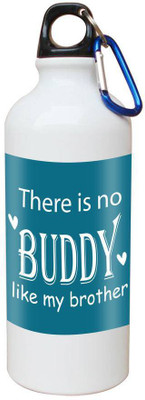 

SKY TRENDS Printed Shipper Bottle for Brother||Sister for Rakshabandhan, Anniversary, Birthday 600 ml Sipper(Pack of 1, Multicolor)