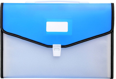 

Apex Expandable Folder with 13 Pockets, Handle, Index Tab Polypropylene A4(Set Of 1, Blue)