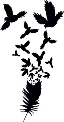 

Savii Beautiful Black Feather Flying Birds(Beautiful Black Feather Flying Birds)
