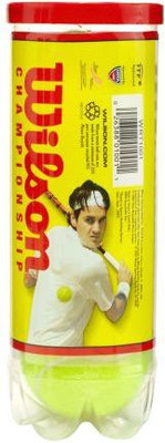 

Wilson Championship Tennis Ball(Pack of 1, Green)