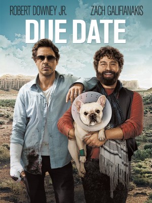 

Due Date (Fully Packaged Import)(DVD English)