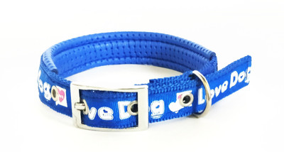 

Petlicious & More Dog Everyday Collar(, Blue