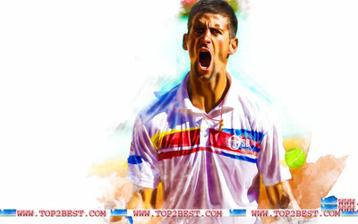 

Novak Djokovic Fine Quality Sports Wall Poster Fine Art Print(12 inch X 18 inch, Rolled)