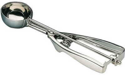 

Bruzone Quality E01 Disposable Steel Ice-cream Spoon(Pack of 1)