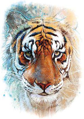 

Savii Beautiful Colorful Big Tiger Face Design(Beautiful Colorful Big Tiger Face Design)