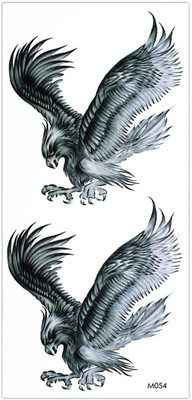 

Savii(Beautiful Eagle Hawk Popular Design)