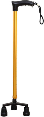 

Smart Care Walking Stick Three Leg Indian Sci-926 Walking Stick