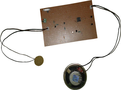

DPELECTRONICS DOOR GUARD Educational Electronic Hobby Kit