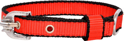 

Pride Infinite Dog Everyday Collar(, Red