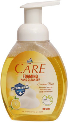 

GOODMAID Care Foaming Hand Soap Sunshine Mist 250 ML(250 ml, Pump Dispenser)