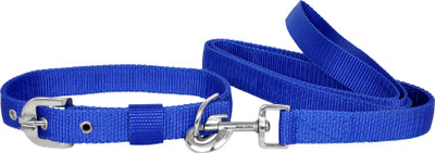 

Pride Infinite Dog Collar & Leash(, Blue