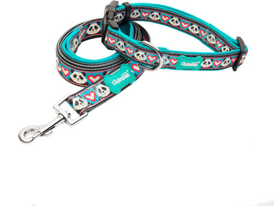 

Chumbak Panda Love CL01 Dog Collar & Chain(, Teal