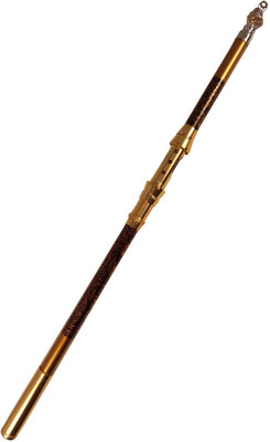 

Bengal Fishing Rod Dragon Gold B6 Gold-S05 Gold Fishing Rod(240 cm, 0.39 kg, Gold)