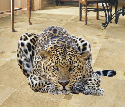

Jump up  Floor sticker Sticker(Pack of 1, Multicolor