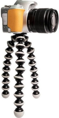 

Clairbell DUG_624D Tripod(Multicolor, Supports Up to 1500 g)