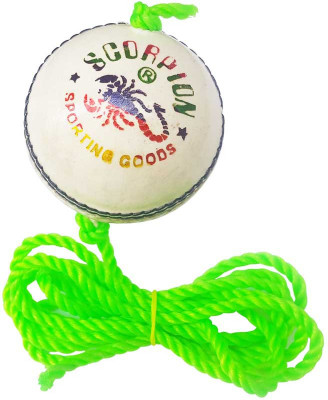 

SCORPION G000 Cricket Training Ball(Pack of 1, White)