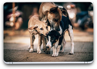 

Flipkart SmartBuy Animal Themed 105 Vinyl Laptop Skin (3M/Avery Vinyl, Matte Laminated, 15 x 10 inches) Vinyl Laptop Decal 15.6