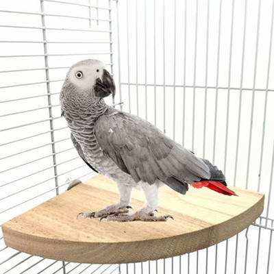 

Sage Square 7 Inches / 17 cm Natural Wood Corner Platform cum Perch cum Stand Bird Toy Ideal for Cockatoo, Amazon, Macaw, African grey, Sun Conure, Pionus, Quaker Parrot, Cockatiel, Lovebird (Light Weight) Wooden Training Aid, Stick For Bird