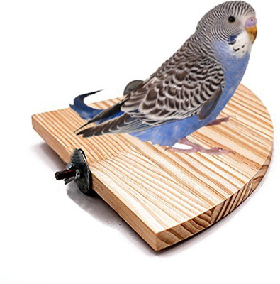 

Sage Square 6 Inches / 15 cm Natural Wood Corner Platform cum Perch cum Stand Bird Toy Ideal for Sun Conure, Pionus, Quaker Parrot, Cockatiel, Finch, Canary, Lovebird, Budgerigar, Budgeri (Light Weight) Wooden Training Aid, Stick For Bird