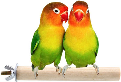 

Sage Square 6 Inches / 15 cm Natural Habitat Wooden Perch / Stand / Toy for Birds (Light Weight) Wooden Training Aid, Stick For Bird