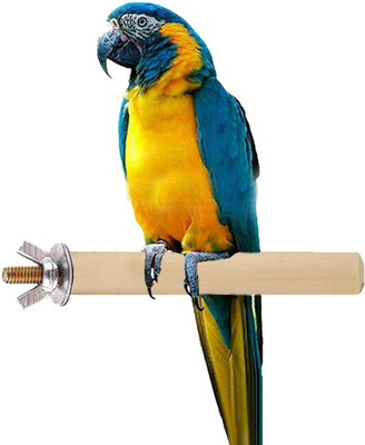 

Sage Square 12 Inches Wooden Training Aid, Stick For Bird