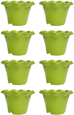 

Bluerider Plant Container Set(Pack of 8, Plastic)